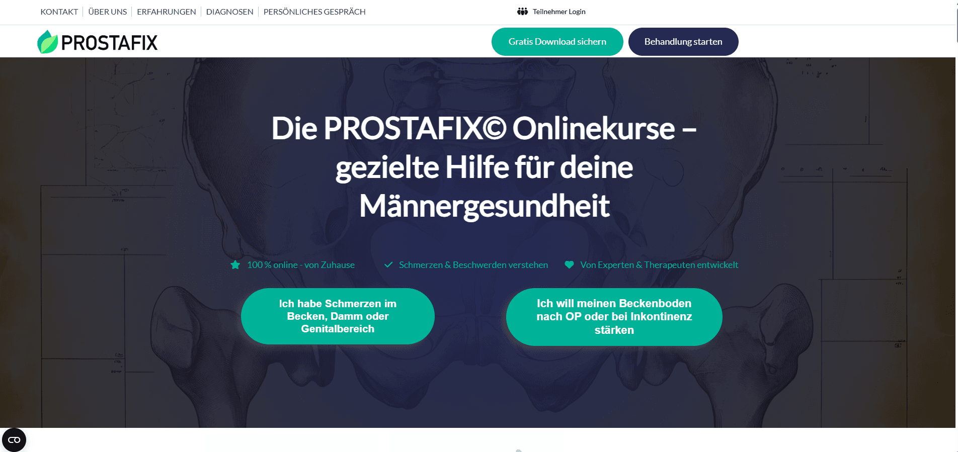 prostafix.de
